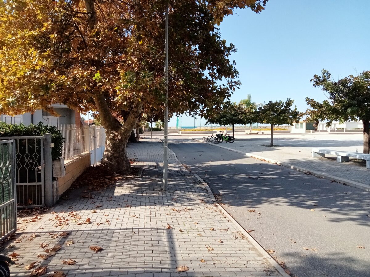 oplus_0